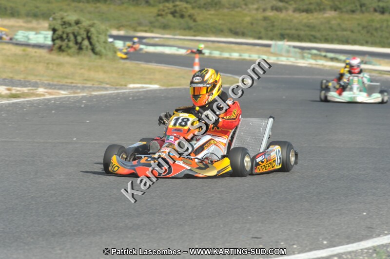 DSC (4034).JPG